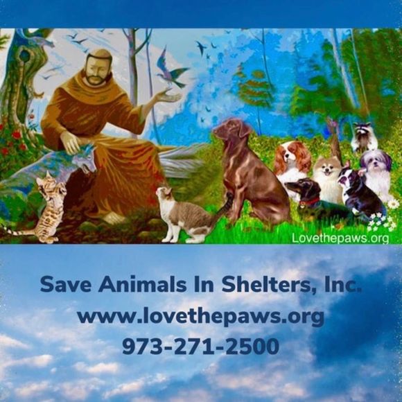 ST FRANCIS TAG MEDAL WITH STERLING NECKLACE & CARDS PET CHARITY - Picture 5 of 15